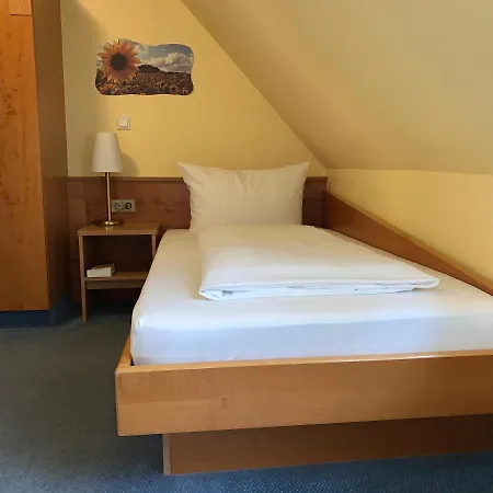 Zum Goldenen Mann 3* راستات